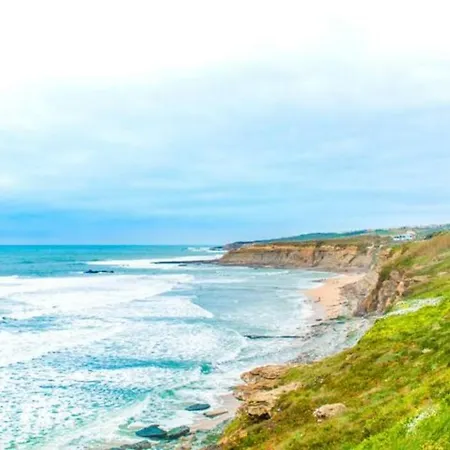 Parrot House Lejlighed