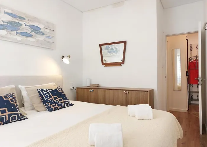 Parrot House 埃里塞拉