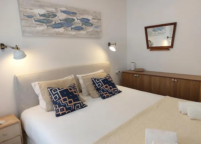 Parrot House 埃里塞拉