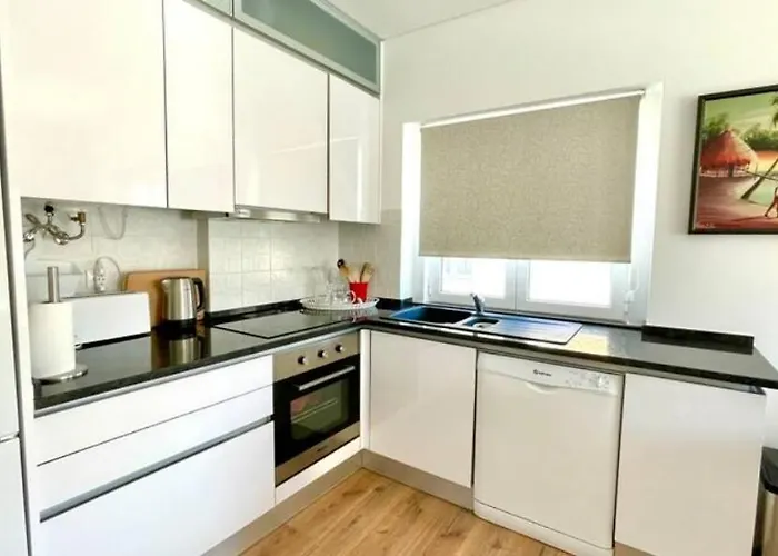 Parrot House 埃里塞拉