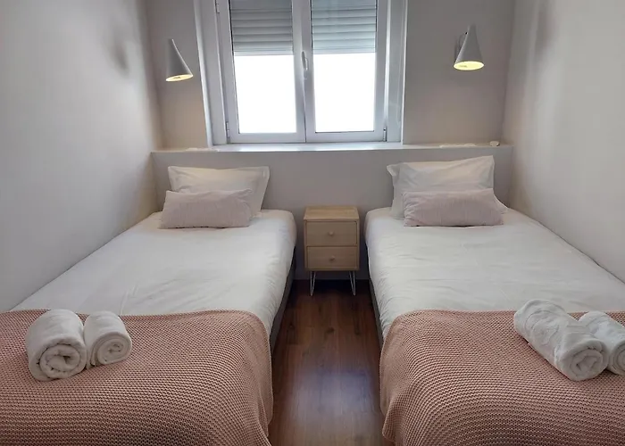 Parrot House 公寓 埃里塞拉